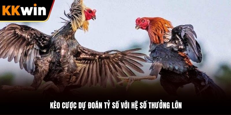 Dự đoán tỷ số khi đặt cược tham gia tại Đá gà Kkwin
