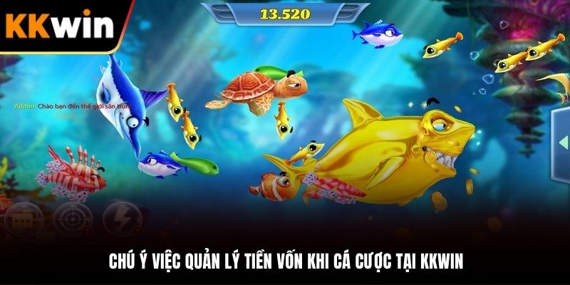 Chú ý tới việc quản lý vốn và lượng đạn hiện có