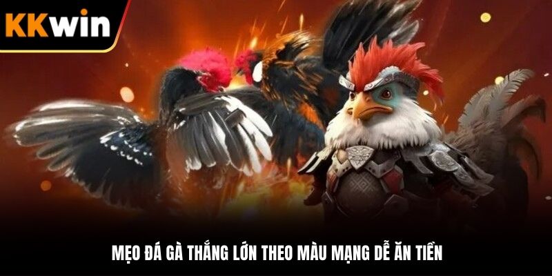 Mẹo đá gà thắng lớn theo màu mạng dễ ăn tiền