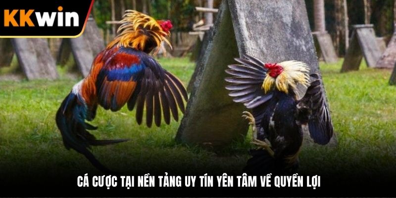 Cá cược tại nền tảng uy tín yên tâm về quyền lợi